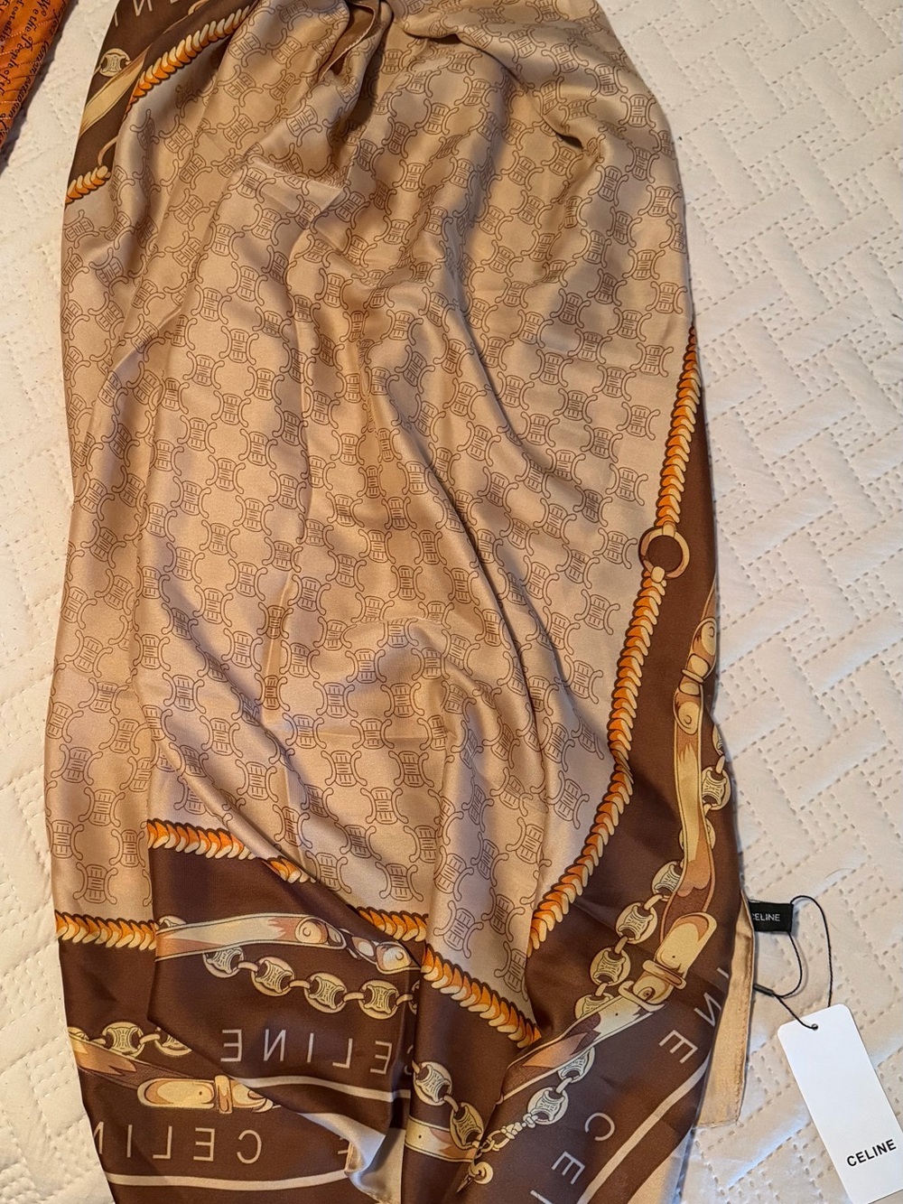 Beautiful Long Silk Scarf/Shawl/Wrap NWTS